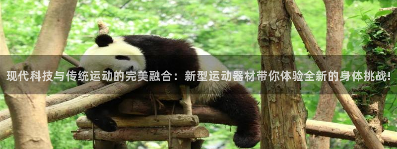 凯捷体育招商电话号码查询是多少