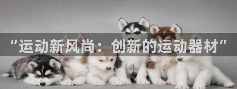 凯捷体育娱乐首页官网下载：“运动新风尚：创新的运动器