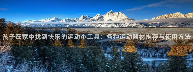 凯捷体育娱乐平台：孩子在家中找到快乐的运动小工具：各