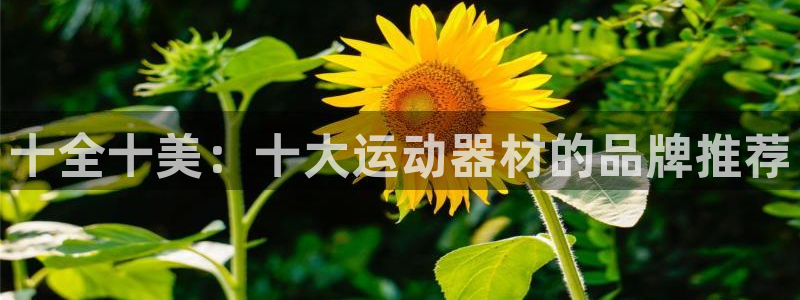 海南凯捷体育发展怎么样：十全十美：十大运动器材的品牌