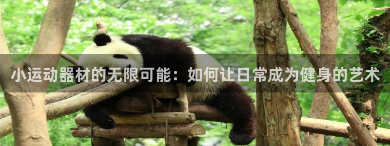 凯捷体育是干嘛的公司：小运动器材的无限可能：如何让日