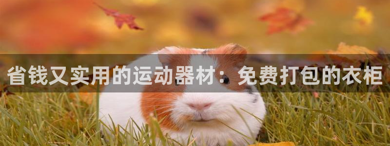 凯捷体育集团官网首页：省钱又实用的运动器材：免费打包