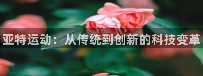 凯捷体育娱乐下载：亚特运动：从传统到创新的科技变革