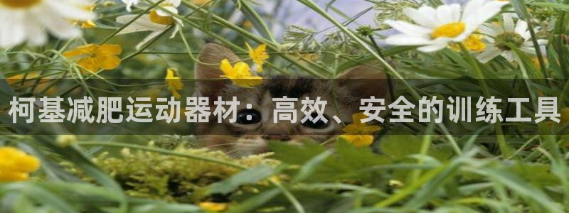 凯捷体育集团官网网址：柯基减肥运动器材：高效、安全的