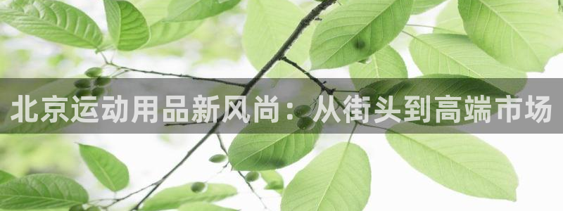 凯捷体育集团简介：北京运动用品新风尚：从街头到高端市场