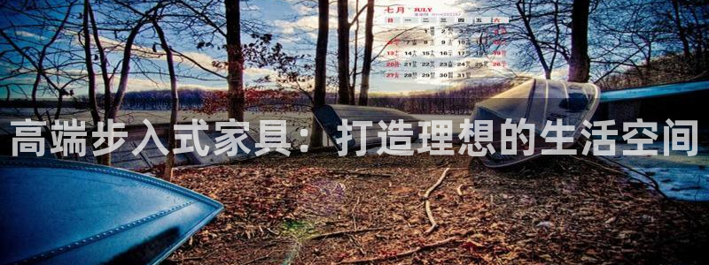 凯捷体育平台注册要钱吗：高端步入式家具：打造理想的生活空间